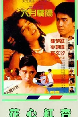 和军人啪的辣文