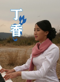 久久久久久综合成人精品