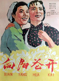 国产视频二区